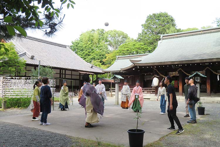 けまりトップ