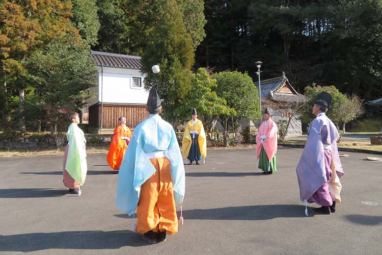 けまりトップ